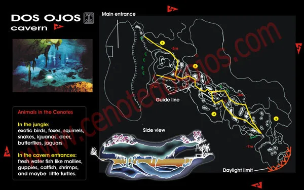 Second Cenote Dos Ojos cavern route map