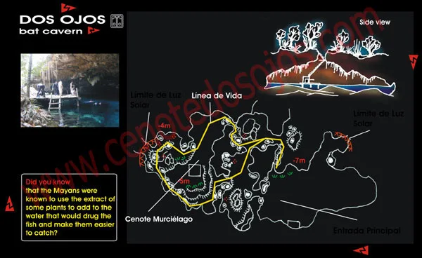 Cenote Dos Ojos Bat Cavern route map