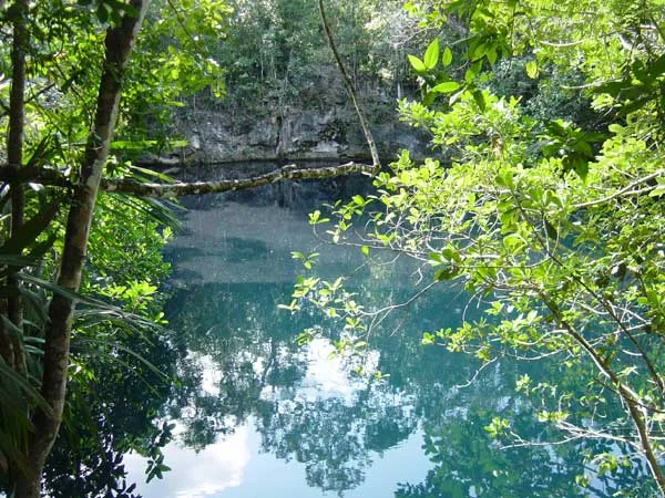 Cenote diving scene in clear water