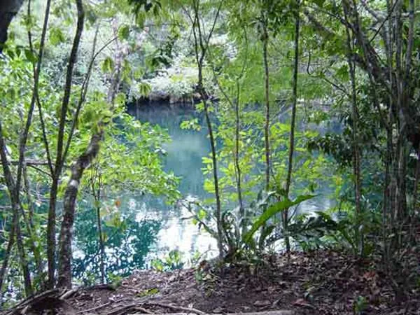 Divers and clear cenote water in the Riviera Maya